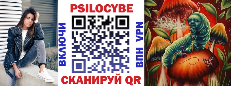 Галлюциногенные грибы Psilocybe  shop формула  Моршанск 